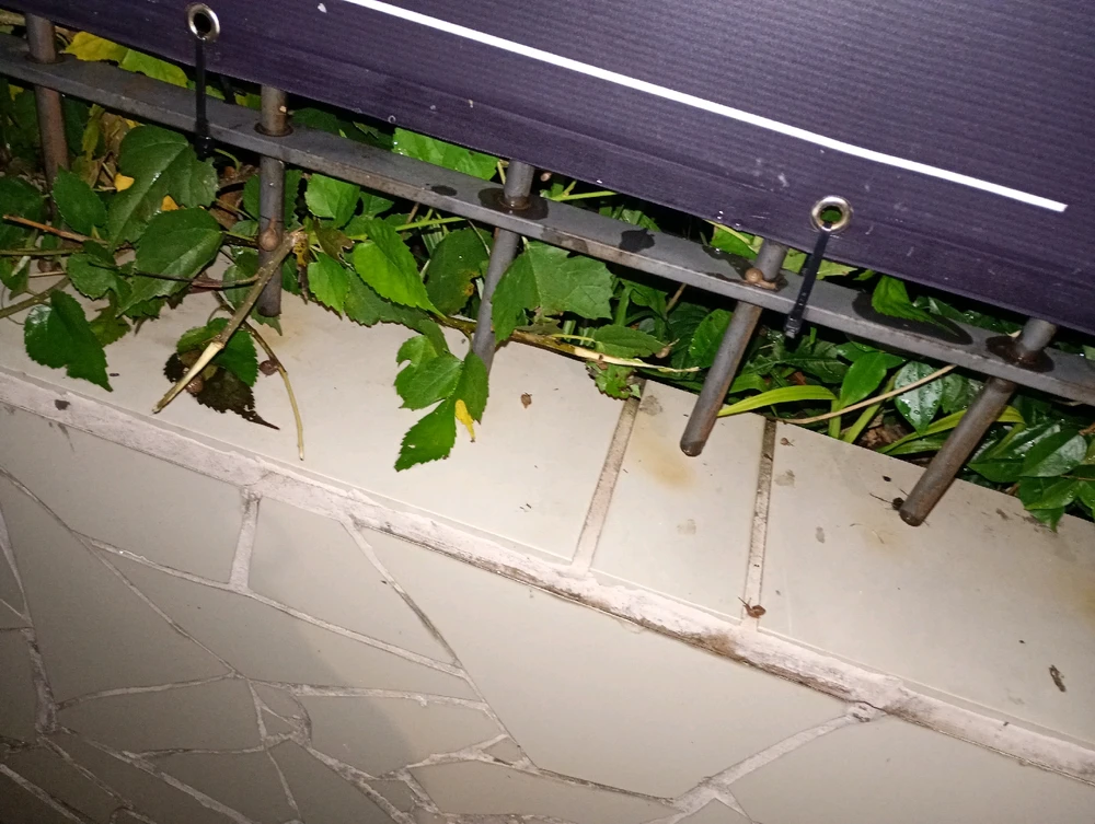 Image uploaded by Vickye