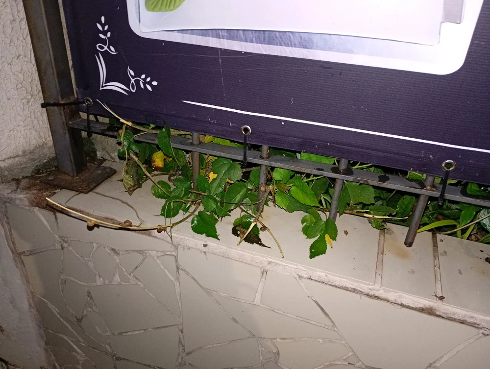 Image uploaded by Vickye