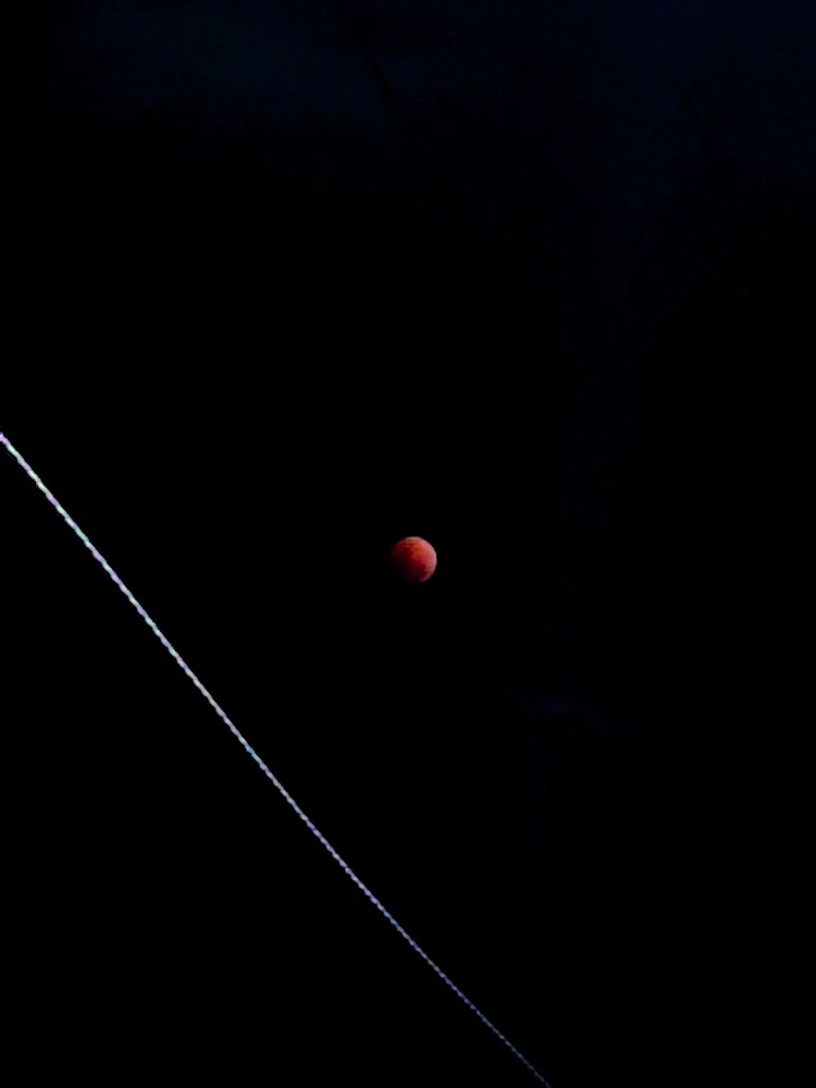 GIF uploaded by Benjie