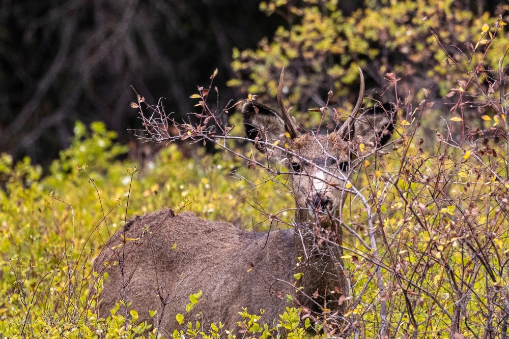 GIF uploaded by Kurtis