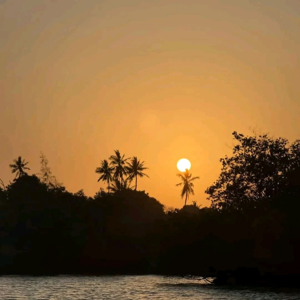 GIF uploaded by Tessy