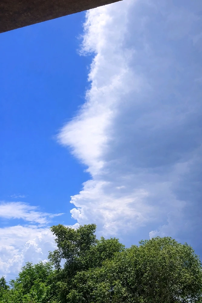 Imagen subida por Mica