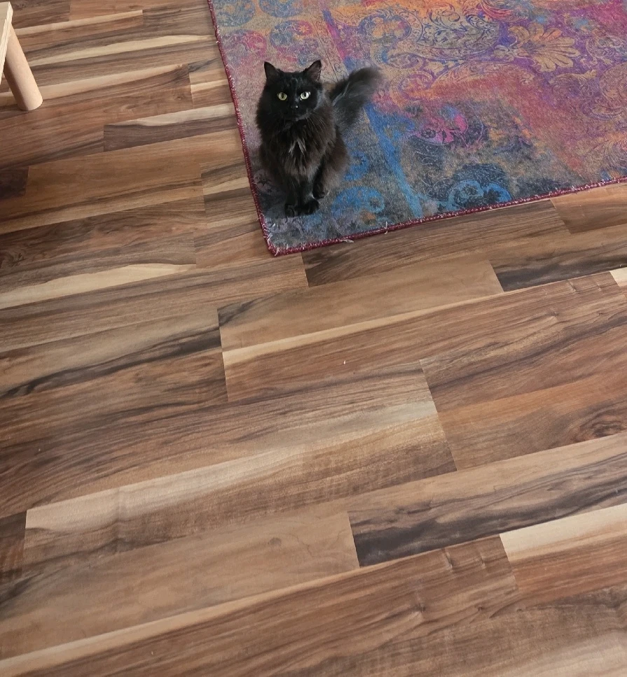 GIF hochgeladen von Pascal