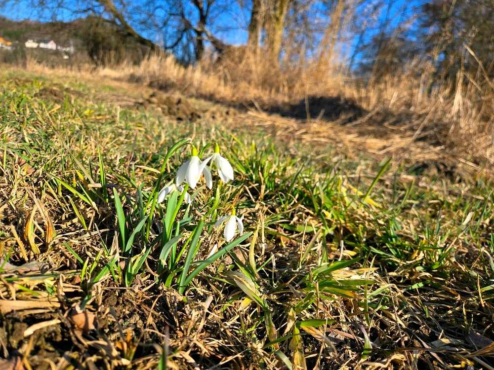 GIF uploaded by Baru