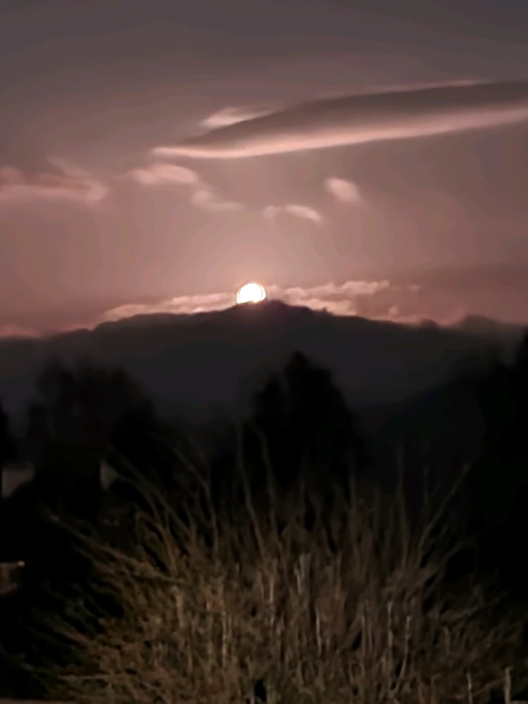 GIF uploaded by Adam