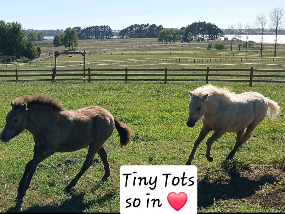 GIF uploaded by Caro