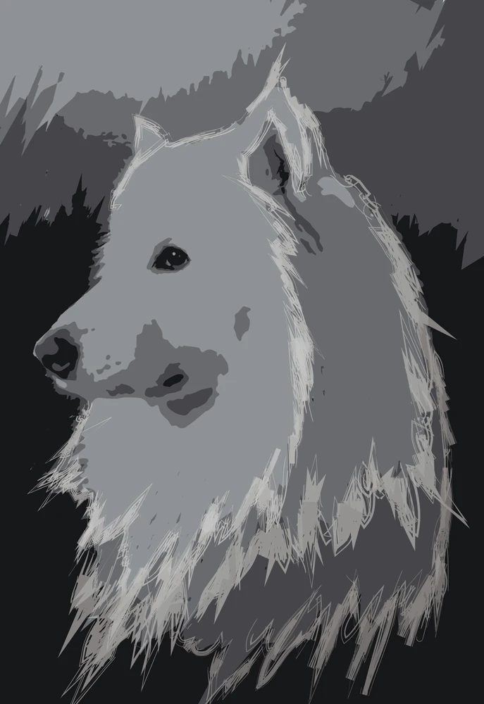 Imagen subida por Mad Max