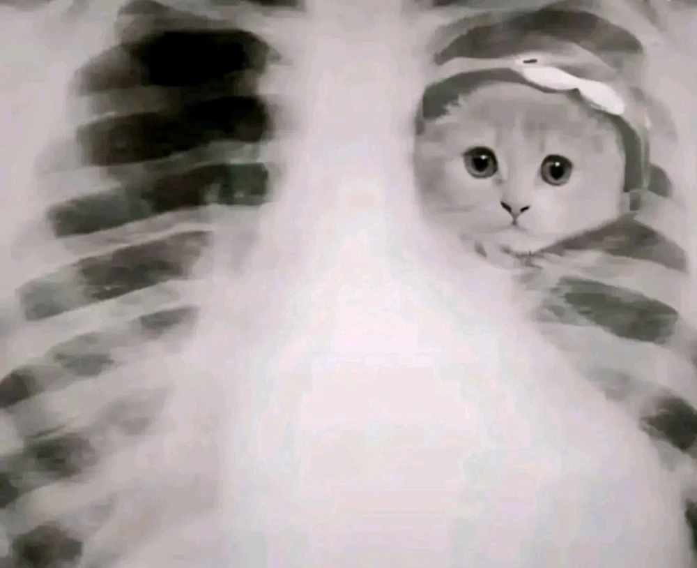 GIF uploaded by Celia