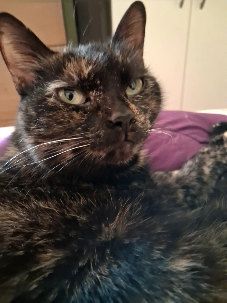 GIF ajouté par Vanessa