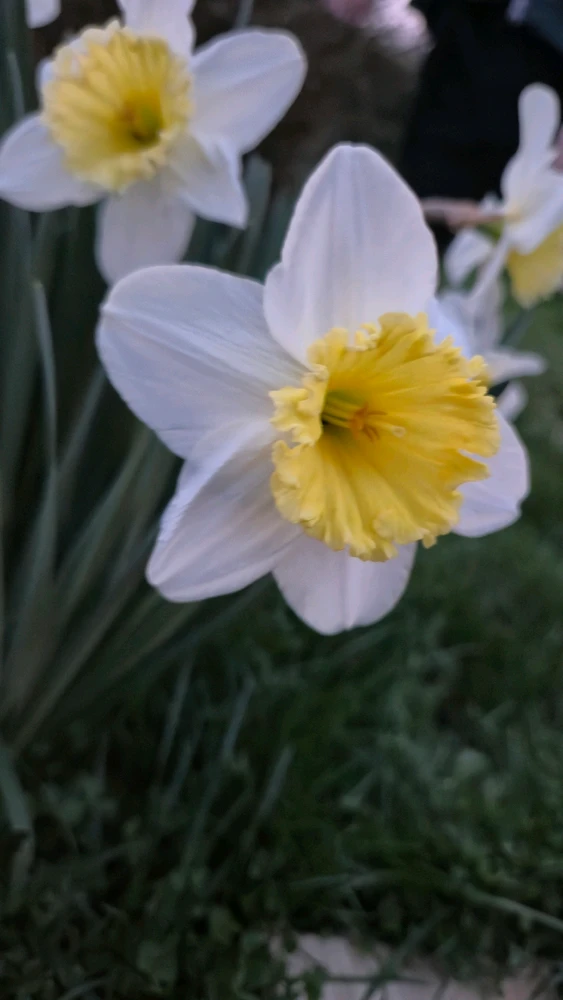 GIF ajouté par Yanaël