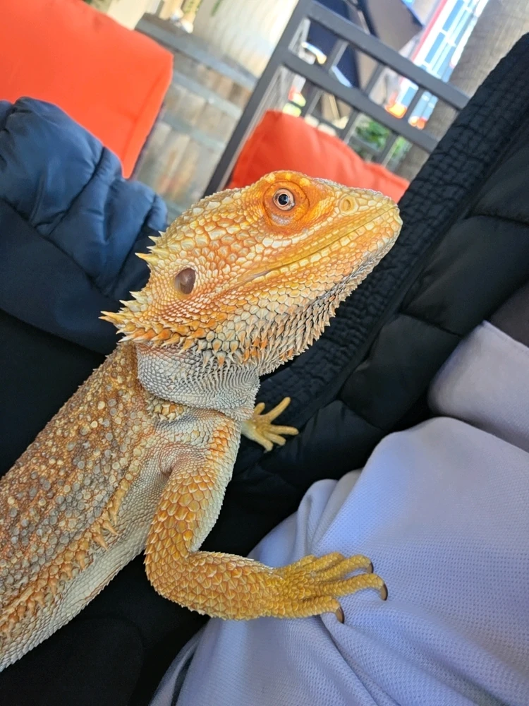 Image uploaded by Fergus