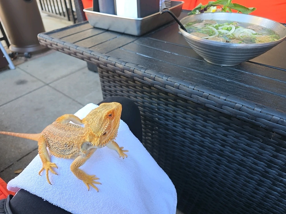 Image uploaded by Fergus