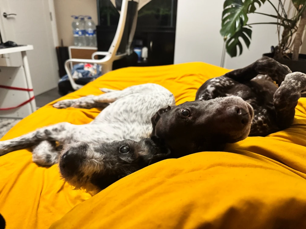 GIF uploaded by Andrew