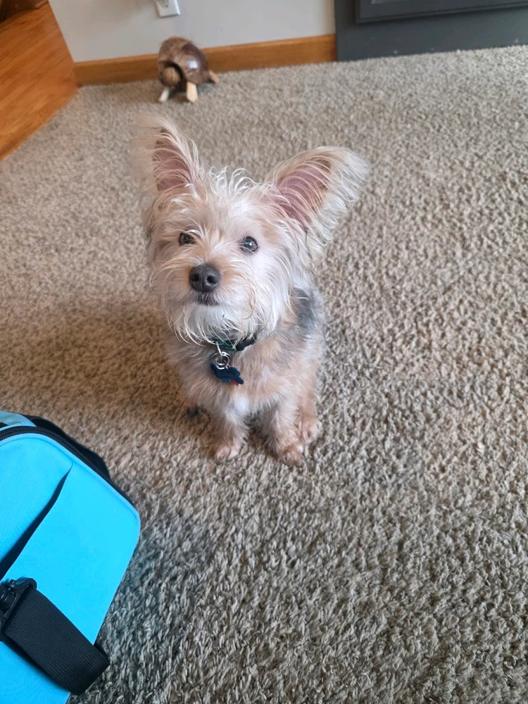 Image uploaded by Caleb