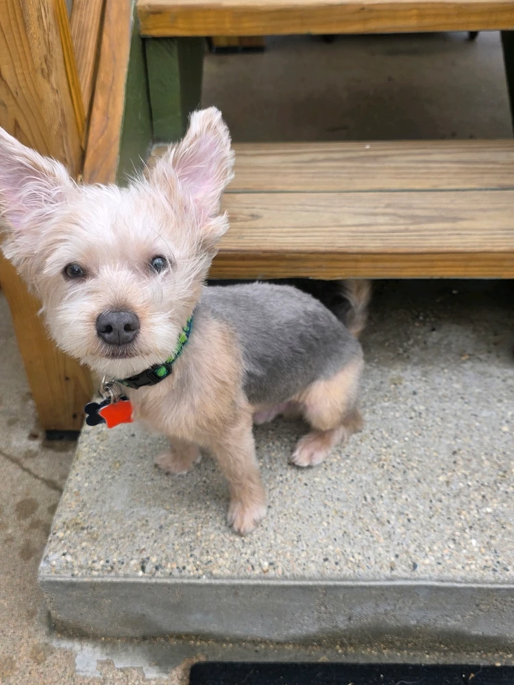 Image uploaded by Caleb