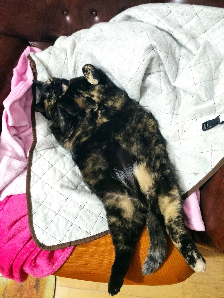 GIF uploaded by Nathalie