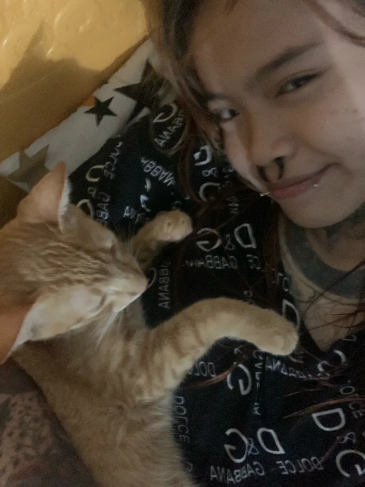 GIF uploaded by lily