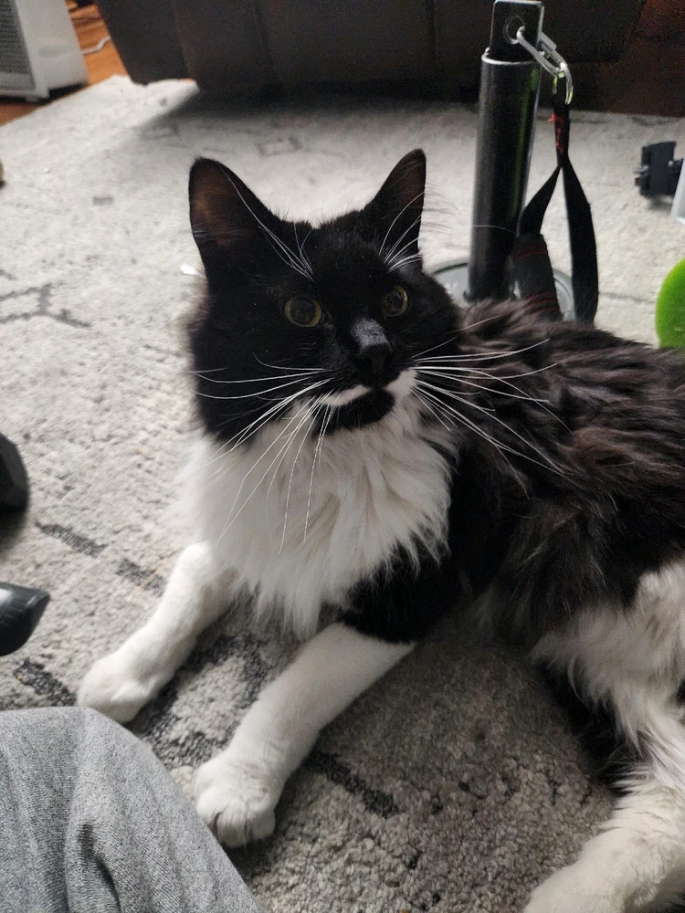 GIF uploaded by Michael