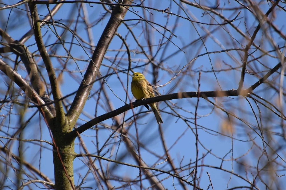 GIF dodany przez Mateusz