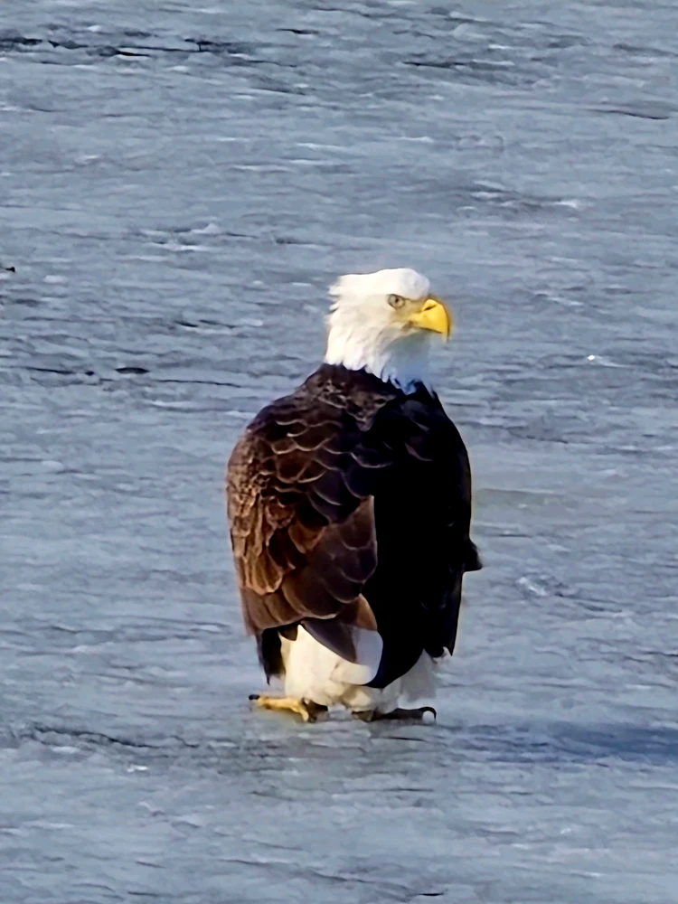 Image uploaded by Kurt