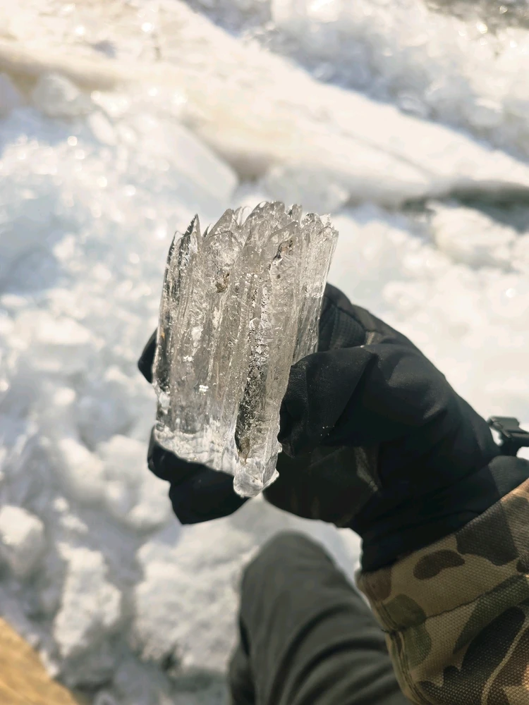 Image uploaded by Kurt