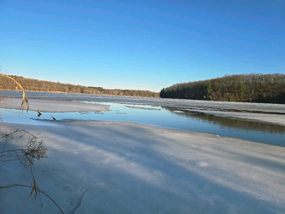 Image uploaded by Kurt