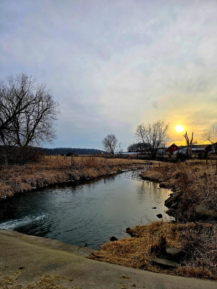 Image uploaded by Kurt