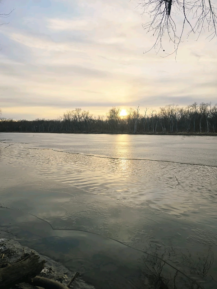 Image uploaded by Kurt