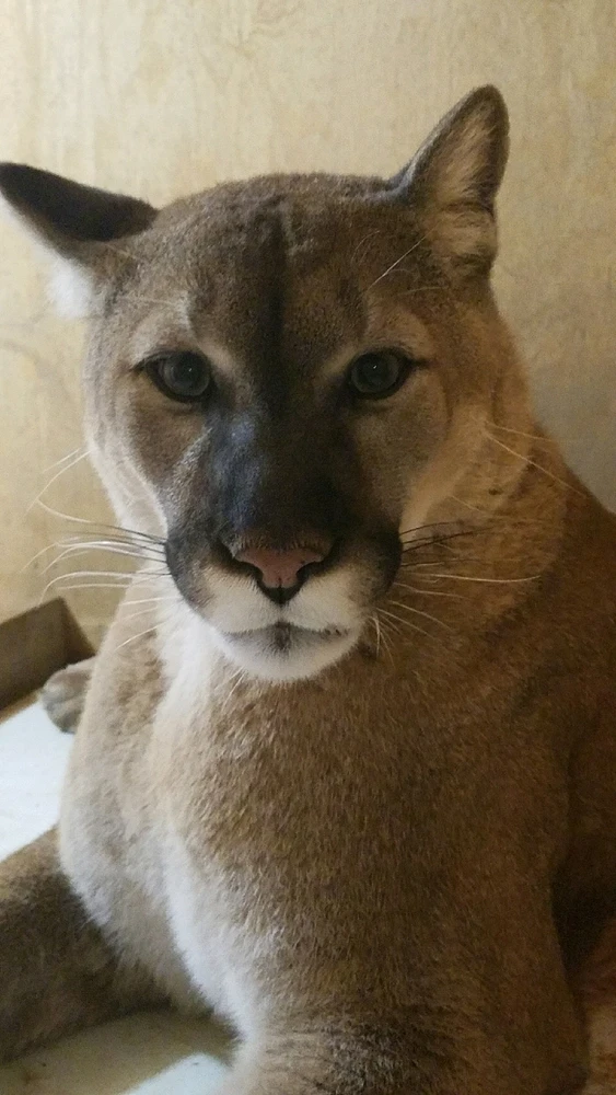 GIF uploaded by Erin