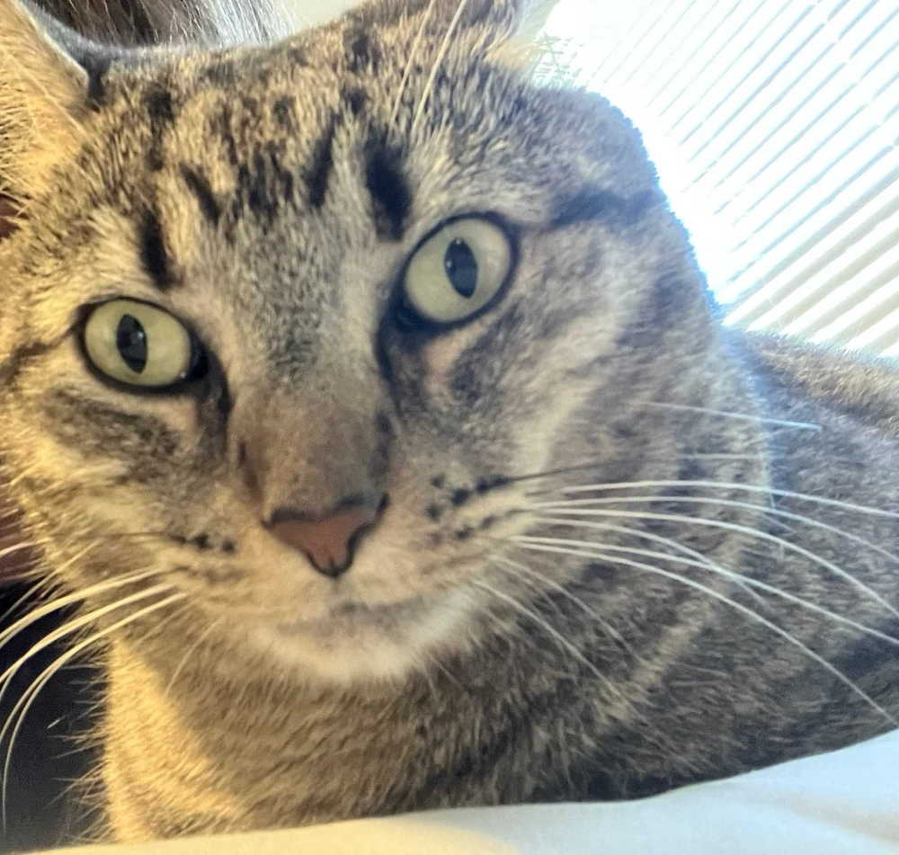 GIF uploaded by Leslie