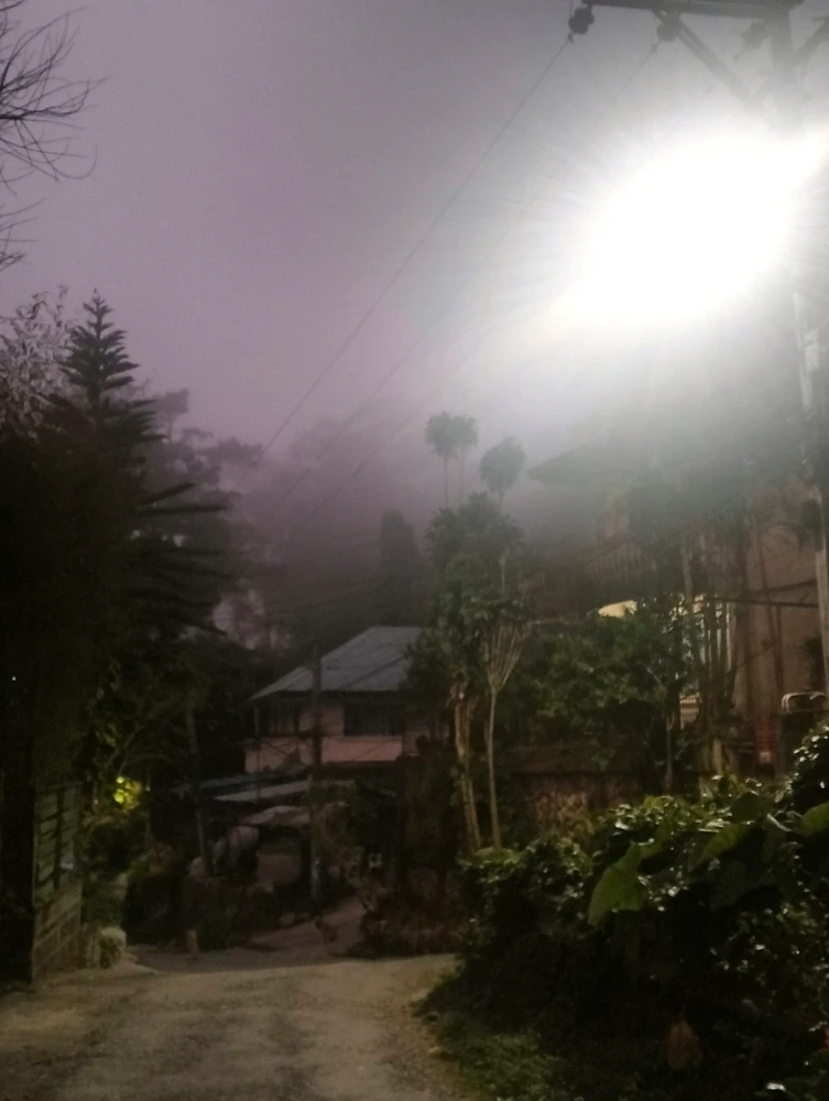 Image uploaded by Sessile