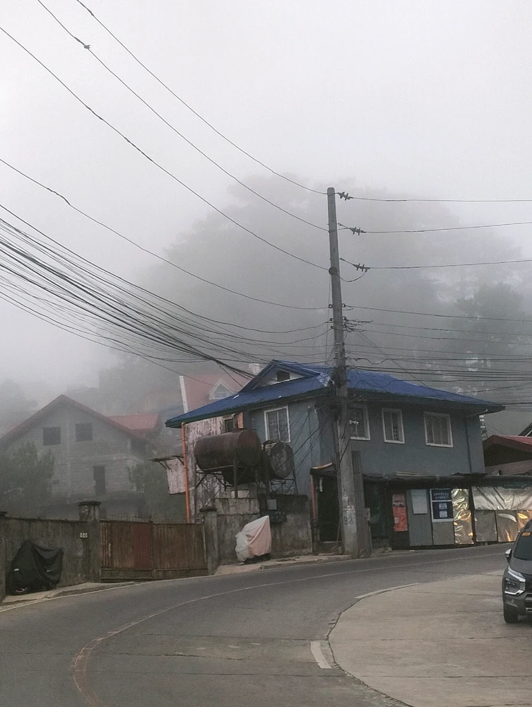 Image uploaded by Sessile