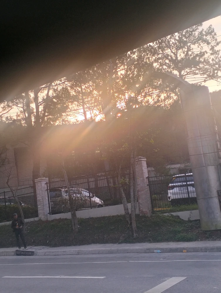 Image uploaded by Sessile