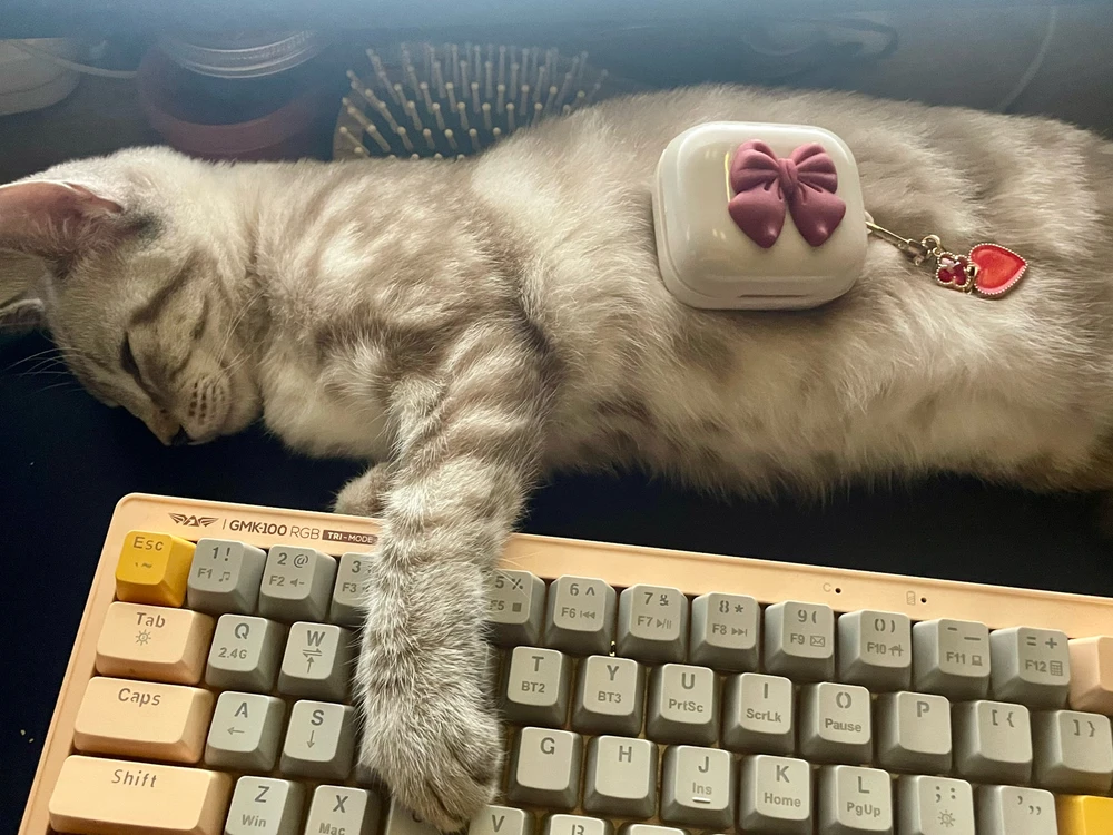 Image uploaded by Mae 😊