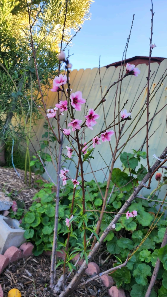 GIF uploaded by Emilio