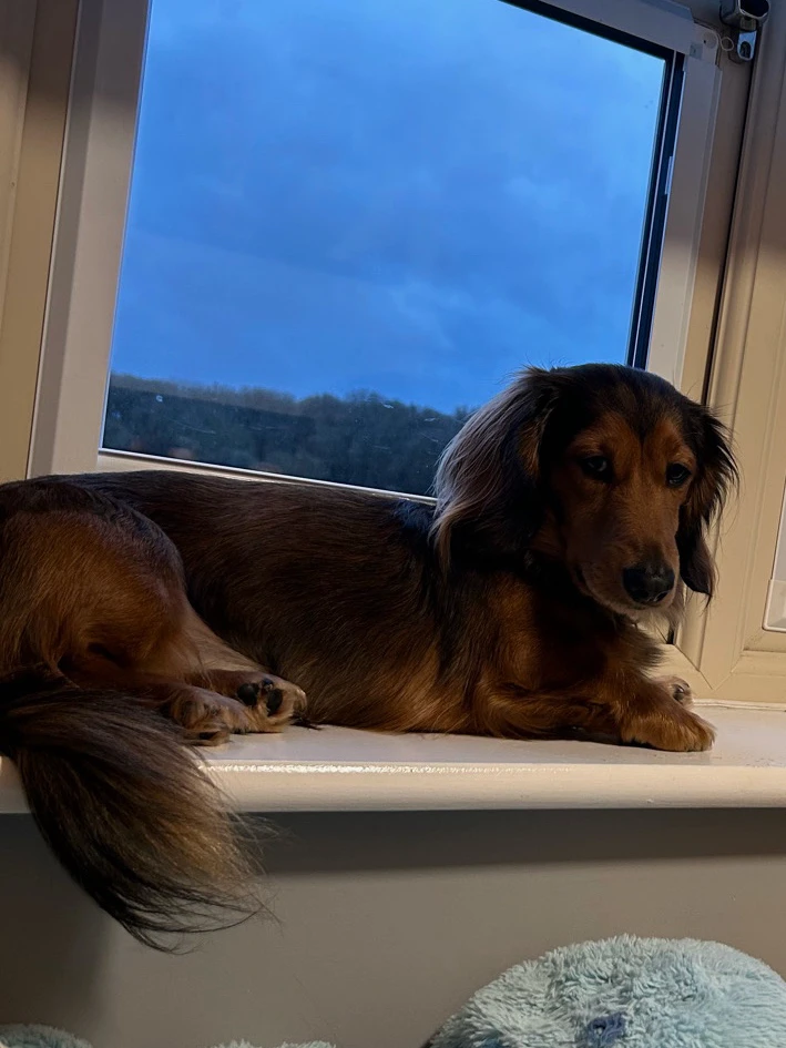 GIF uploaded by Jake