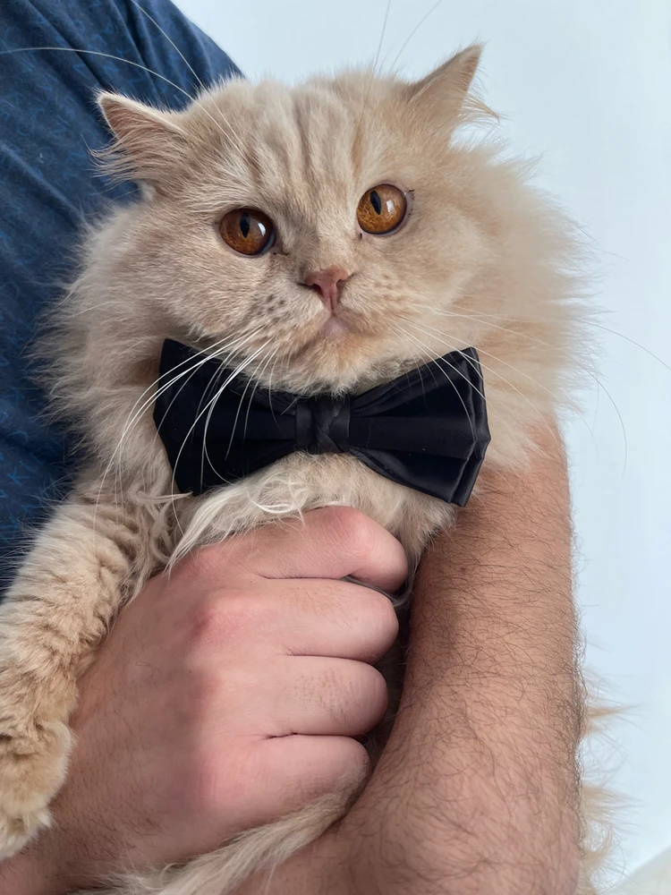 GIF uploaded by Weaam