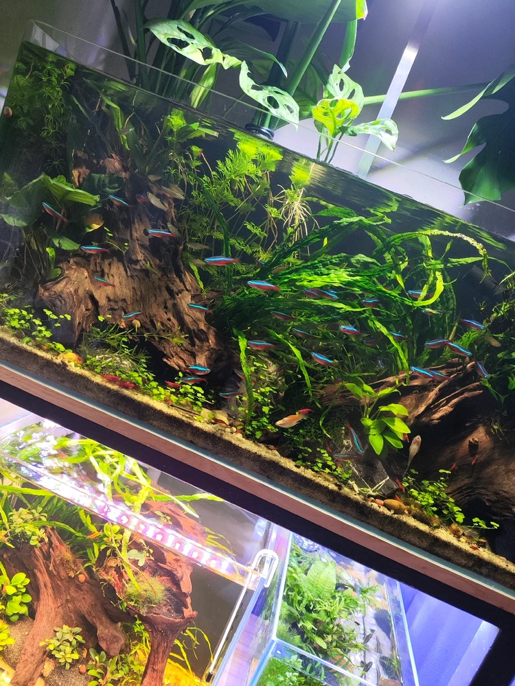 GIF อัปโหลดโดย อ๊อฟ