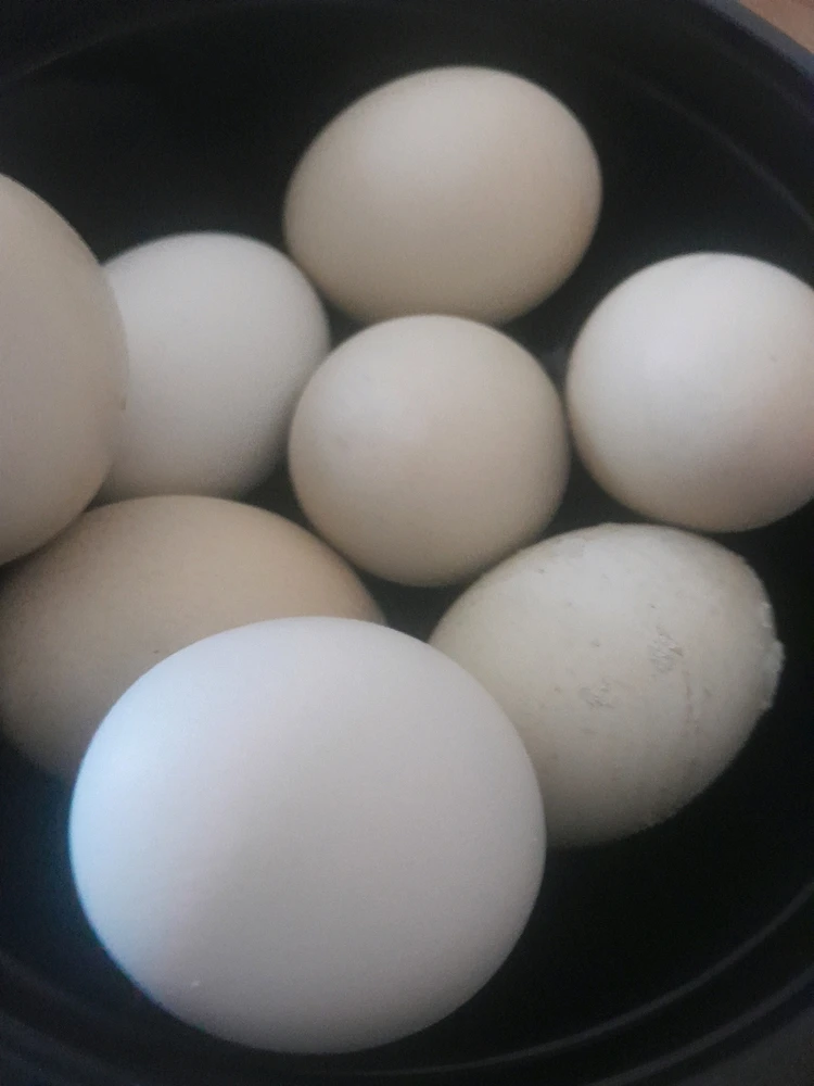 GIF uploaded by Caro