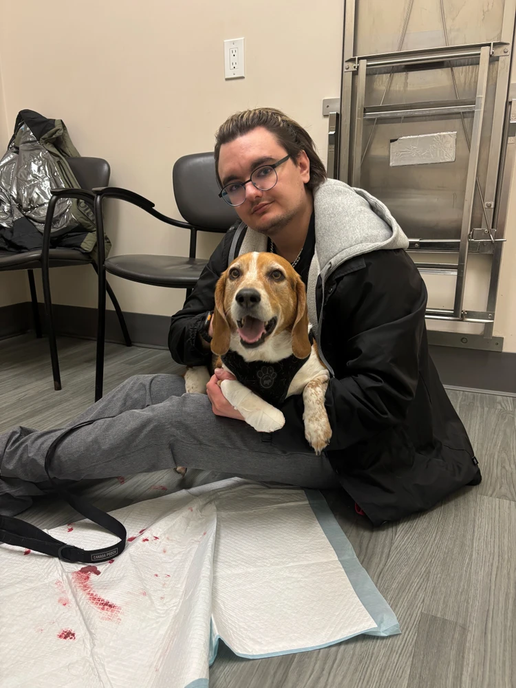 GIF uploaded by Zack