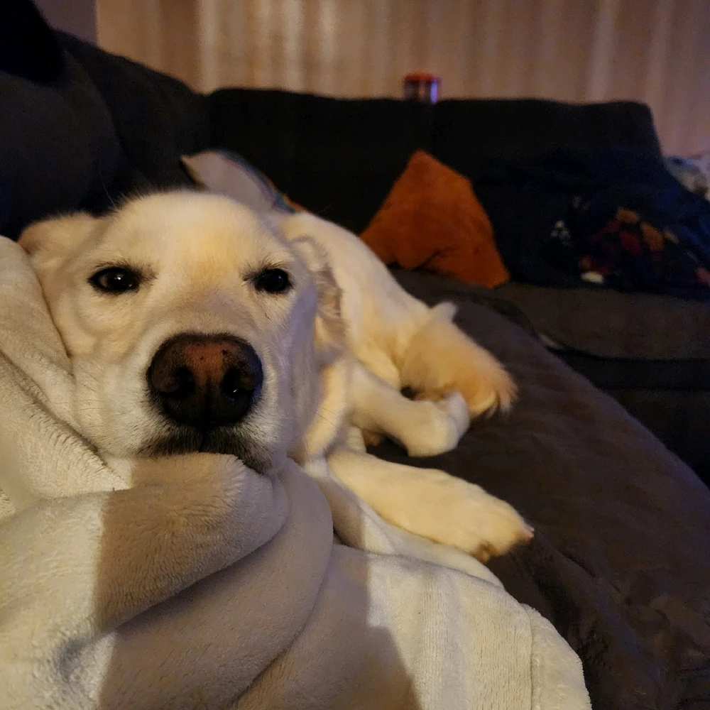 GIF uploaded by Nick