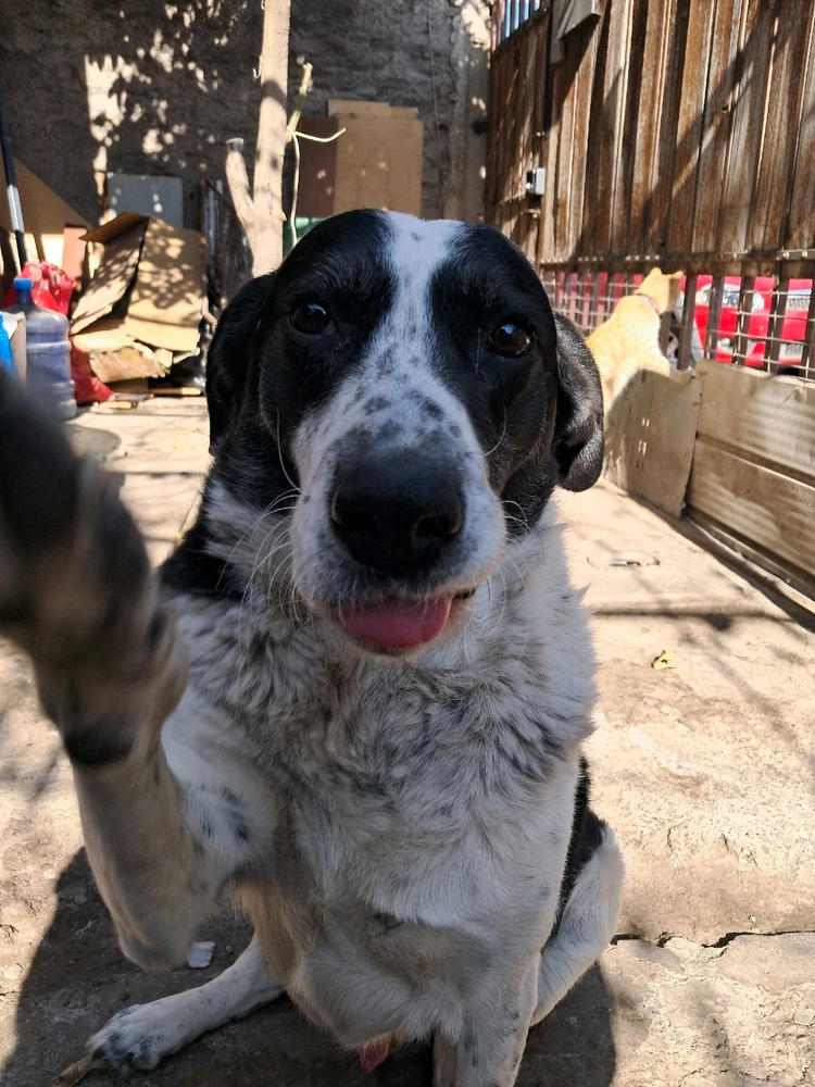 GIF subido por Cristian