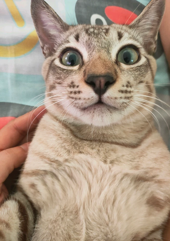 GIF uploaded by Jellyfish