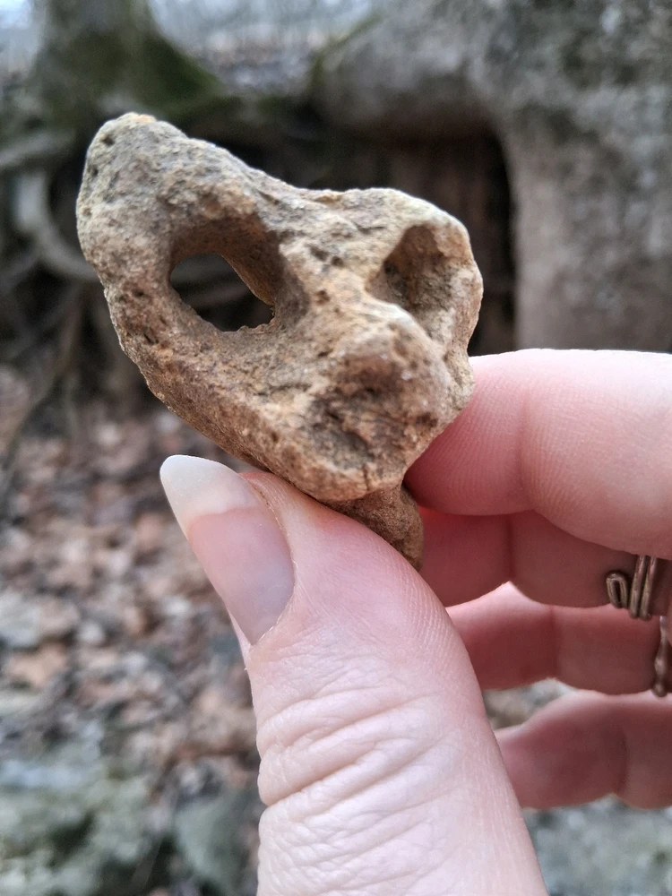 Image uploaded by Kayla