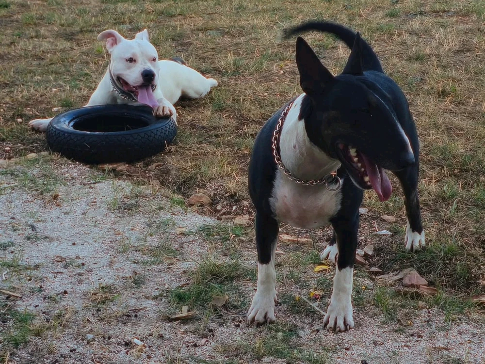 GIF uploaded by David