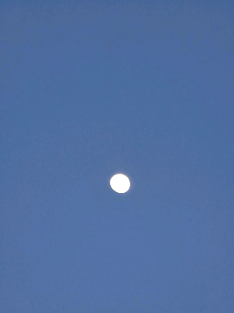 Image uploaded by A༗🂡⏳