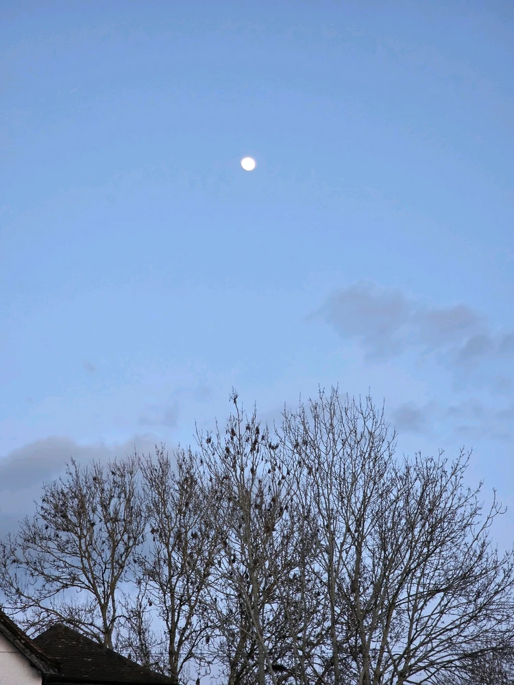 Image uploaded by A༗🂡⏳