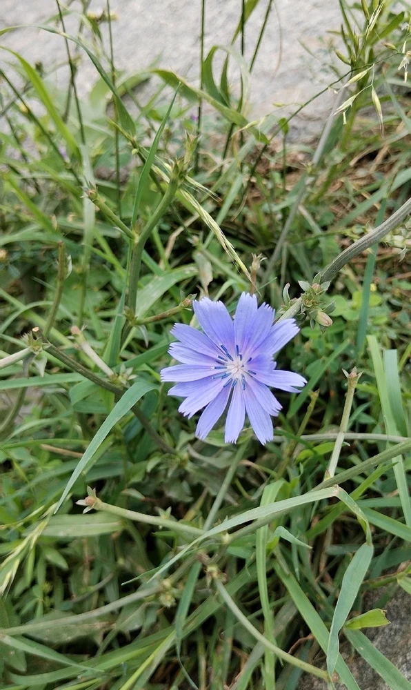 GIF uploaded by 𝑨𝒏𝒆𝒆𝒍..