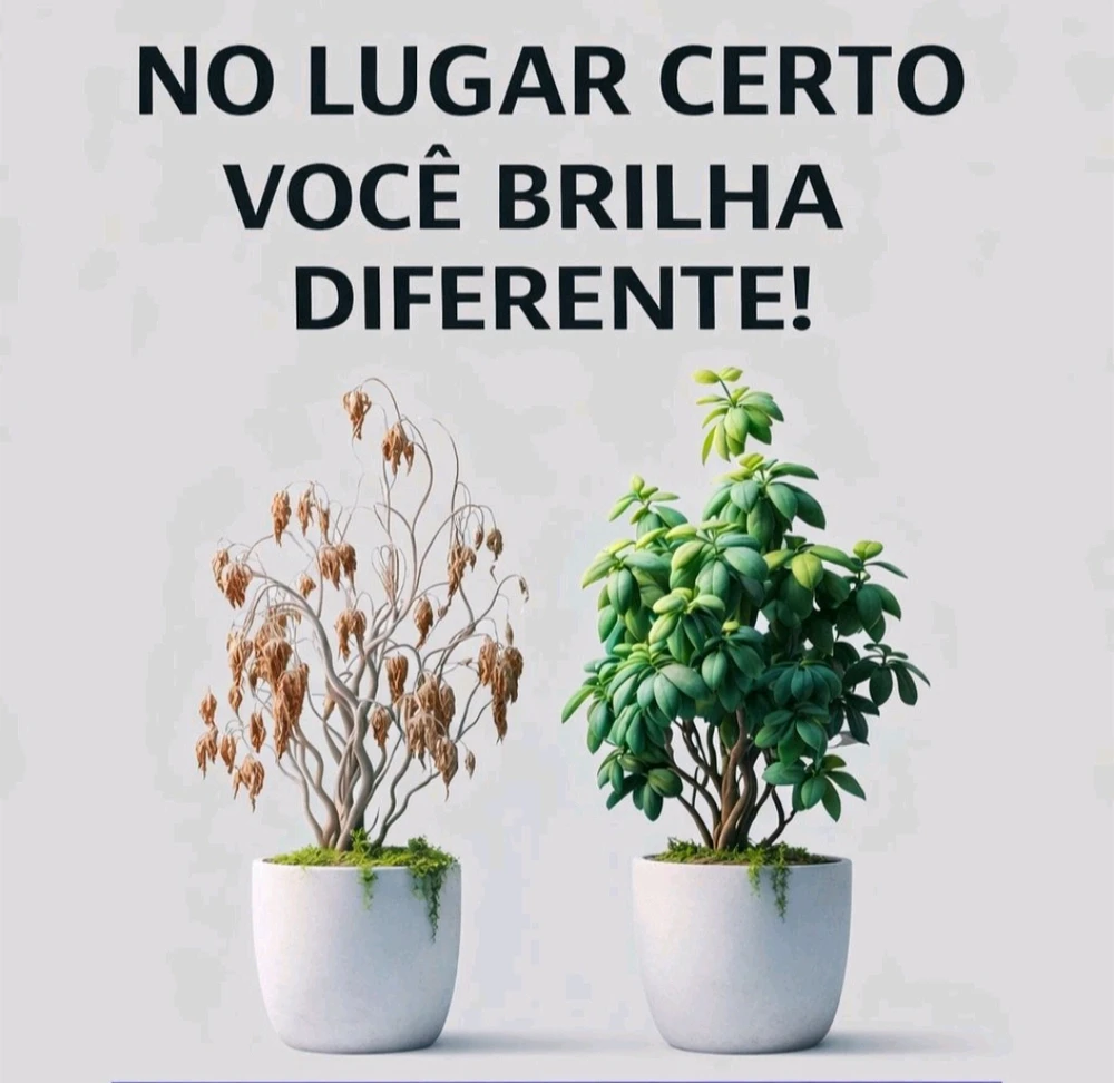 GIF enviado por Jislaine