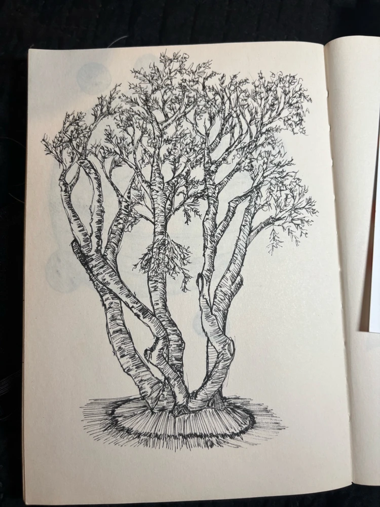 GIF uploaded by Anthony